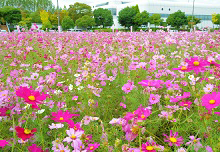 アクセス・入園料