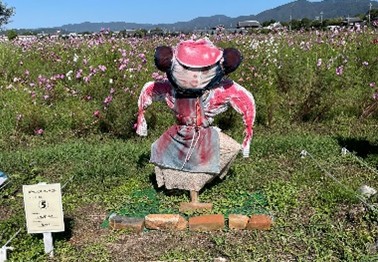 コンテスト