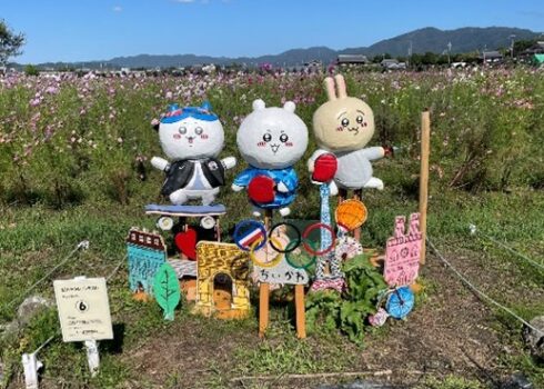 コンテスト